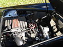 cobra014.jpg