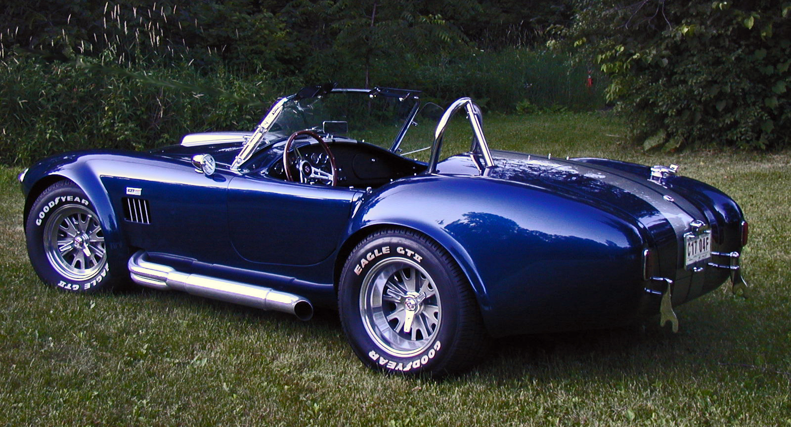 6-19-07HANSONCOBRA5